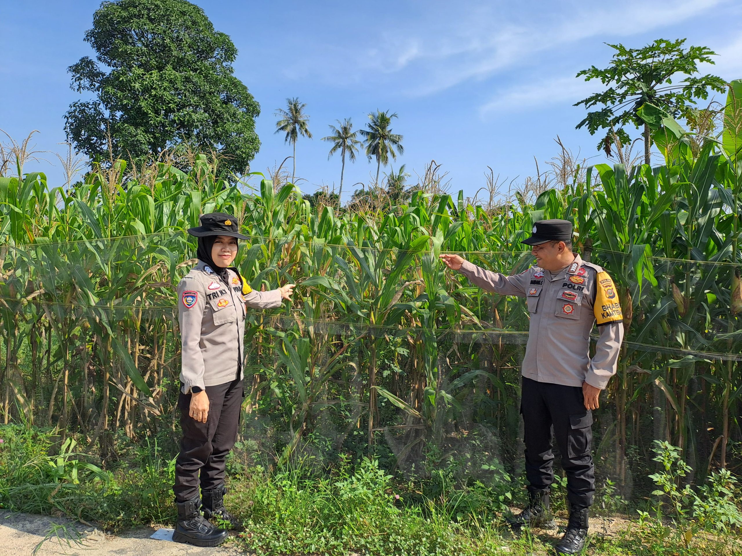 Komitmen Kepolisian Dukung Produktivitas Pertanian Lokal Demi Kesejahteraan Masyarakat