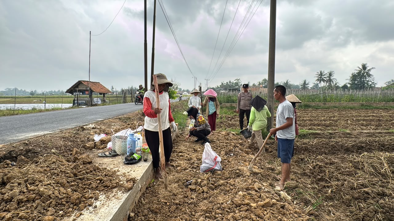 Dukung Ketahanan Pangan Nasional, Polsek Belitang I Dampingi Petani Tanam Jagung di Desa Karang Kemiri
